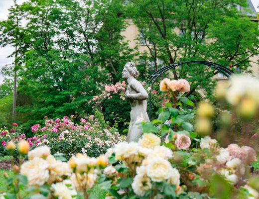 woman statue near plants and trees